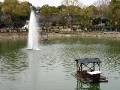 IMG_4142 * 2272 x 1704 * (871KB)