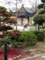 IMG_4145 * 1704 x 2272 * (1.08MB)