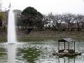 IMG_4156 * 2272 x 1704 * (842KB)