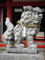 IMG_4237 * 1704 x 2272 * (820KB)