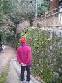 IMG_4620 * 1704 x 2272 * (1.85MB)