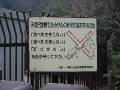 IMG_4622 * 2272 x 1704 * (979KB)