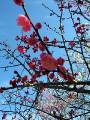 IMG_4650 * 1704 x 2272 * (791KB)