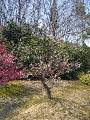 IMG_4798 * 1704 x 2272 * (1.66MB)