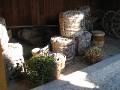 IMG_4944 * 2272 x 1704 * (1.11MB)