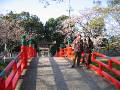 IMG_5022 * 2272 x 1704 * (1.68MB)