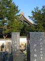 IMG_5033 * 1704 x 2272 * (1.15MB)
