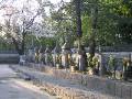 IMG_5034 * 2272 x 1704 * (1.7MB)