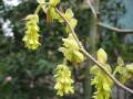 IMG_5064 * 2272 x 1704 * (794KB)