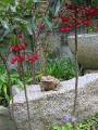 IMG_5066 * 1704 x 2272 * (1.41MB)