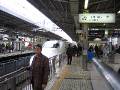 IMG_5086 * 2272 x 1704 * (1.26MB)