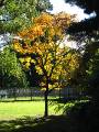 IMG_5130 * 1704 x 2272 * (1.71MB)